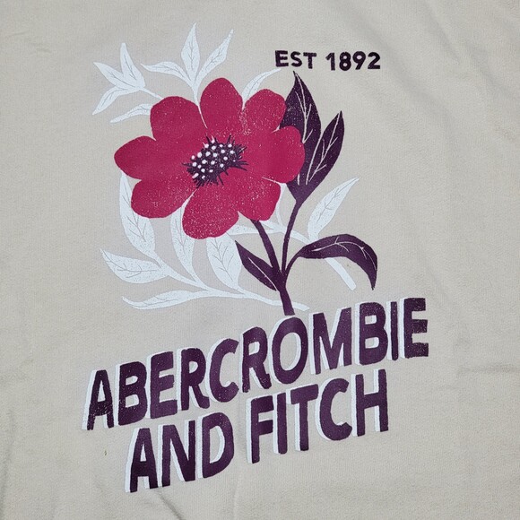 Abercrombie Kids LS Beige Pullover Hoodie - Size 13/14 NWT - Picture 3 of 8